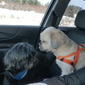 Meet your Posher, Gail